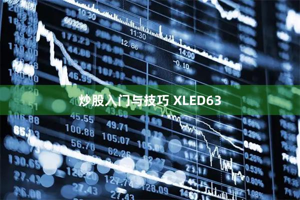 炒股入门与技巧 XLED63
