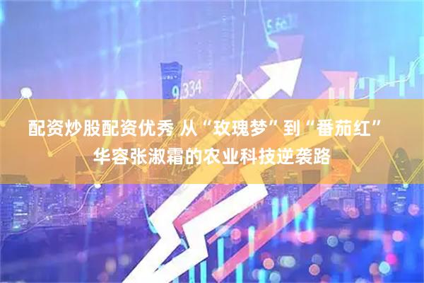 配资炒股配资优秀 从“玫瑰梦”到“番茄红”  华容张淑霜的农业科技逆袭路
