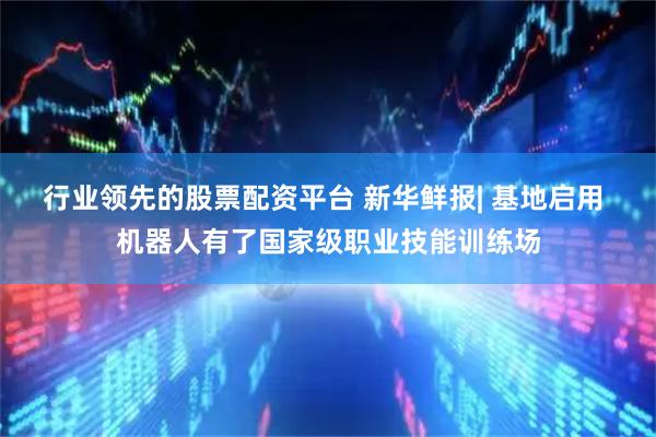 行业领先的股票配资平台 新华鲜报| 基地启用 机器人有了国家级职业技能训练场