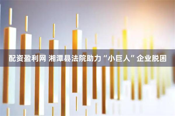 配资盈利网 湘潭县法院助力“小巨人”企业脱困